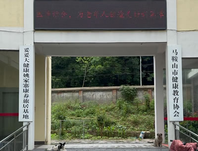 马鞍山修复医疗项目介绍